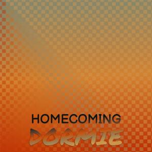 Dengarkan lagu Homecoming Dormie nyanyian Roie Sinh dengan lirik