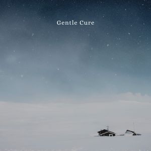 Steve Blame的專輯Gentle Cure