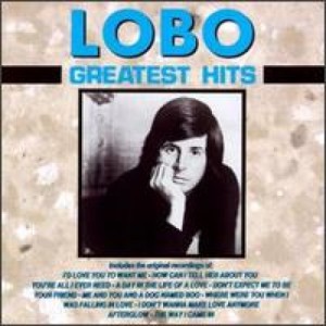 ดาวน์โหลดและฟังเพลง A Day In The Life Of A Love พร้อมเนื้อเพลงจาก lobo