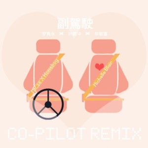 Listen to Mr.16罗隽永 / Homeboy叶枫华 - 副駕駛 (REMIX) (其他) song with lyrics from 牟敏雪