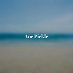 Album Anc Pickle from 
