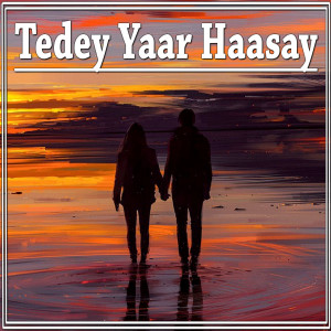 Listen to Mede Naal Laraiyan Kar Dohre Hi Dohre song with lyrics from Kazim Ali Shah