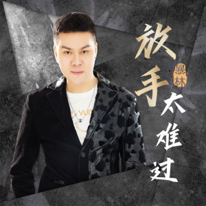 Listen to 放手太难过 (DJ版) song with lyrics from 暴林