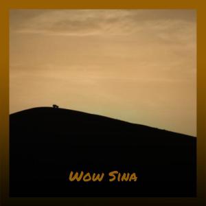 Dengarkan Wow Sina lagu dari Frane Merr dengan lirik
