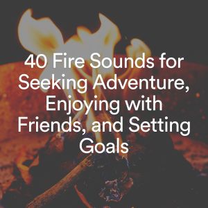 Album 40 Fire Sounds for Seeking Adventure, Enjoying with Friends, and Setting Goals from Fireplace FX Studio