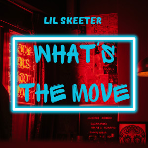 Album What's the Move from Lil Skeeter