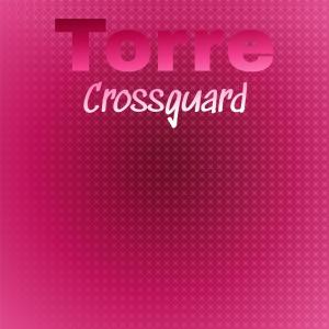 Various的专辑Torre Crossguard