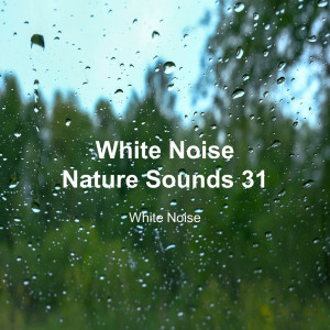 White Noise 31 (Rain Sounds, Bonfire Sound, Baby Sleep, Deep Sleep)