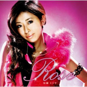 收聽加藤米莉亞的ROSE歌詞歌曲