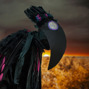 Listen to Svarta sparvens sorg song with lyrics from Fränder