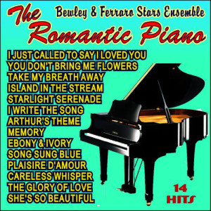 ดาวน์โหลดและฟังเพลง I Just Called to Say I Loved You พร้อมเนื้อเพลงจาก Bewley & Ferraro Stars Ensemble