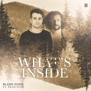 Album What's Inside from BlameNoise