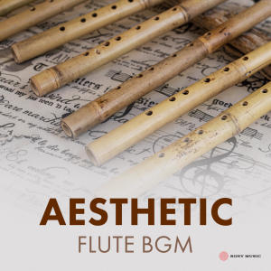 收聽Anirudh Ravichander的Aesthetic Flute BGM歌詞歌曲