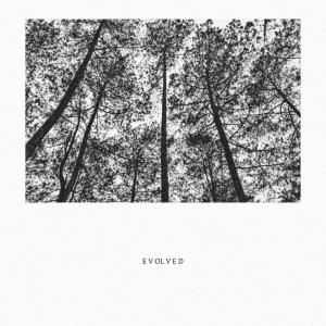 Listen to Mawar Hitam song with lyrics from Evolved