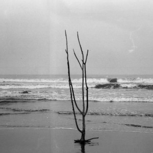 Album Intertask oleh VON Krup