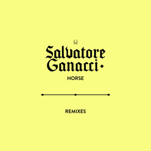 收聽Salvatore Ganacci的Horse (Cityzen Remix)歌詞歌曲