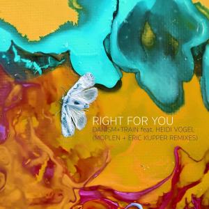 Listen to Right for You (Moplen Remix) song with lyrics from Danism