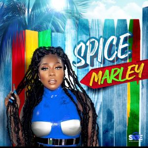 Spice的專輯Spice Marley