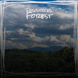 收聽Koldo Hiwa的Resources Forest歌詞歌曲
