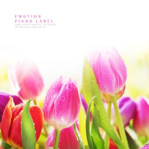 อัลบัม Sweet love melody beautiful emotional piano ศิลปิน Various Artists