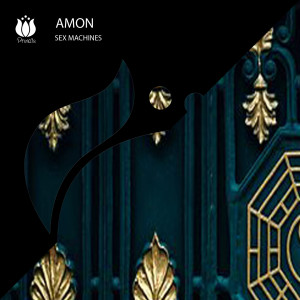Listen to Sex machines song with lyrics from Amon