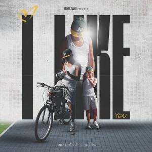 Ander Trap的專輯I Like You (feat. Harim & Foxes Gang)
