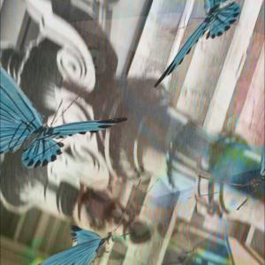 Phasmics的專輯star city