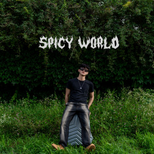 Listen to Worry (feat. ROSESIA) song with lyrics from SPICY NERD