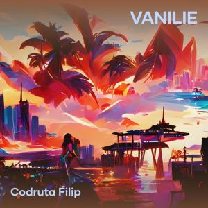 收聽Codruta Filip的Vanilie歌詞歌曲