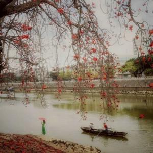 Listen to 家乡勒北 (Remix) song with lyrics from 汤浩平