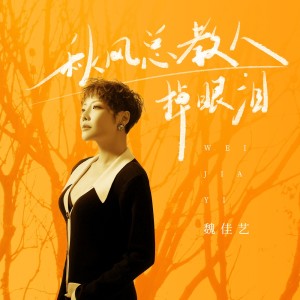 Album 秋风总教人掉眼泪 from 魏佳艺
