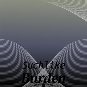 Various的专辑Suchlike Burden