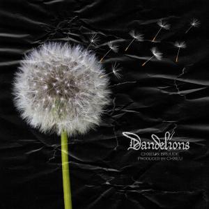 Listen to Dandelions song with lyrics from CHXEU
