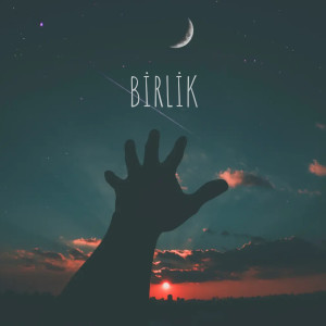 Various的專輯BiRLiK (Explicit)