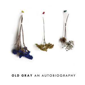 ดาวน์โหลดและฟังเพลง The Artist พร้อมเนื้อเพลงจาก Old Gray