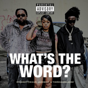 WhoGotTheAux的專輯What's The Word (Explicit)