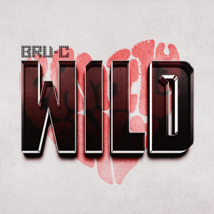 Bru-C的專輯Wild