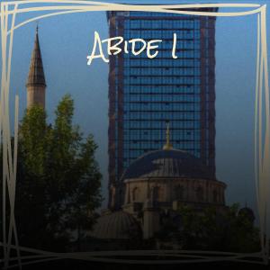 Album Abide I from Various