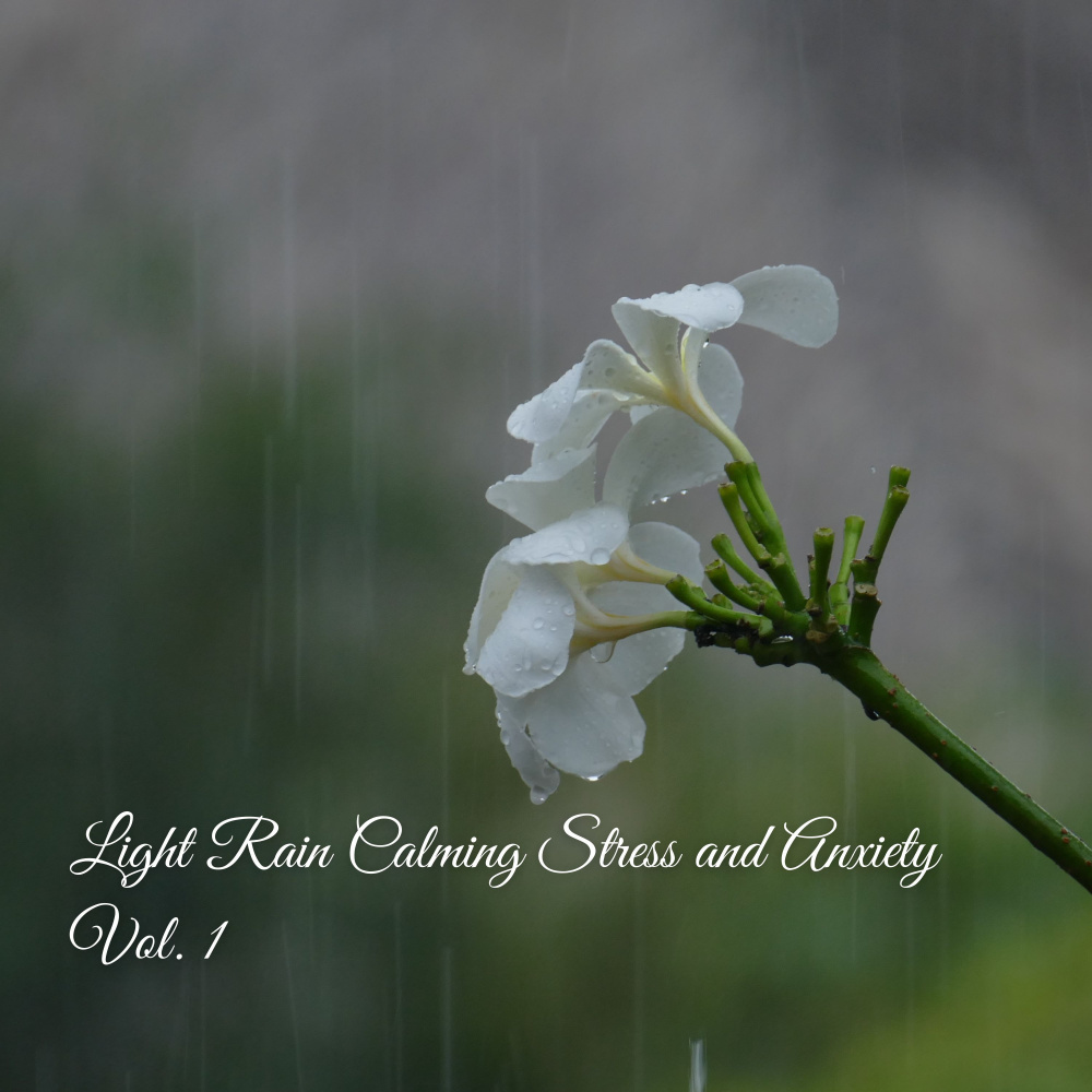 Sleep to Thunder Rain Sounds