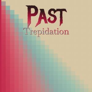 Various的专辑Past Trepidation