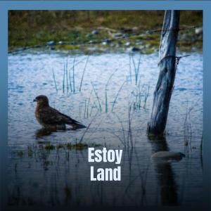 Album Estoy Land from Various Artists