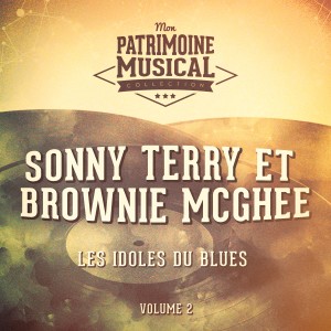 Les idoles du blues : Sonny Terry et Brownie McGhee, Vol. 2
