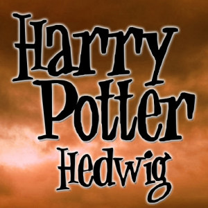 Harry Potter - Hedwig's Theme