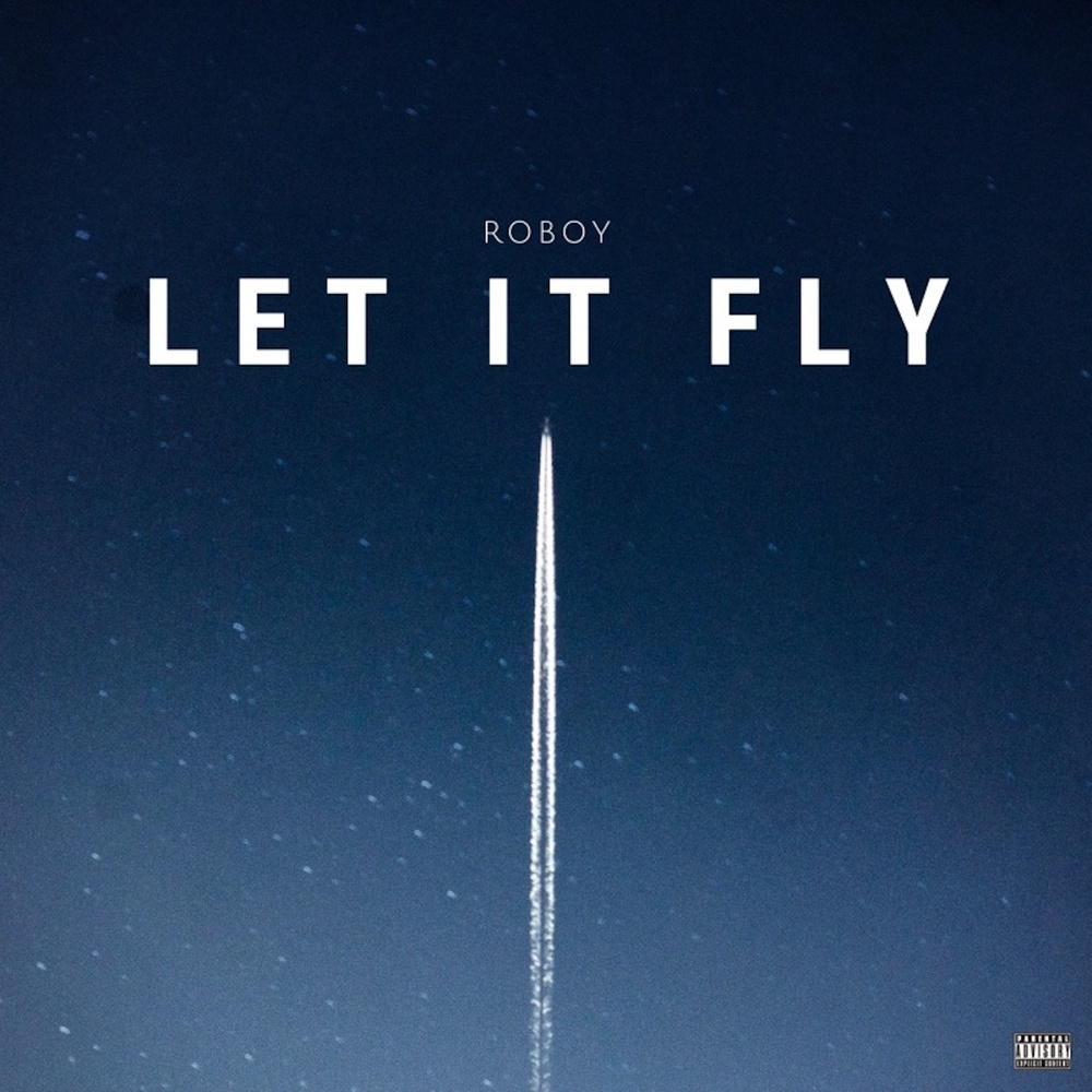 Let It Fly (Explicit)