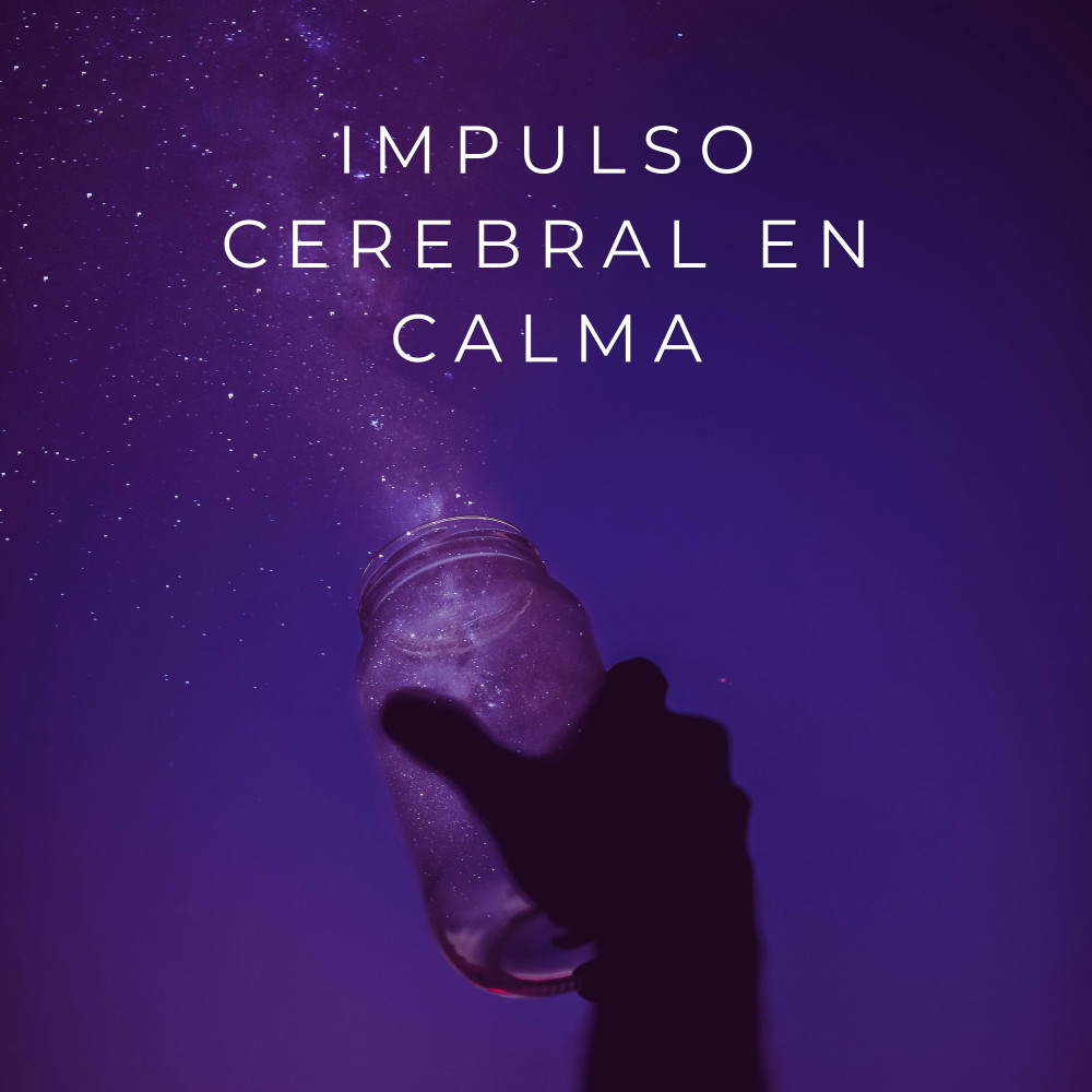 Momentos Tranquilos De Aprendizaje