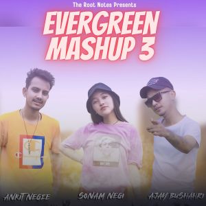 Listen to Evergreen Mashup 3 song with lyrics from Ajay Bushahri