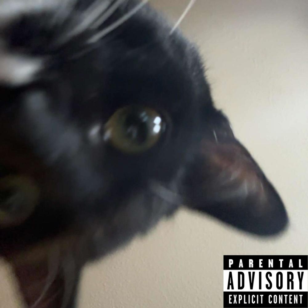 Turn To Stone (feat. x6Jade) (Explicit)