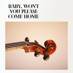 Album Baby, Won't You Please Come Home from 