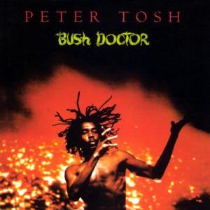 ดาวน์โหลดและฟังเพลง Lesson In My Life (Outtake) พร้อมเนื้อเพลงจาก Peter Tosh