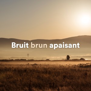 Album Bruit brun apaisant from Brown Noise